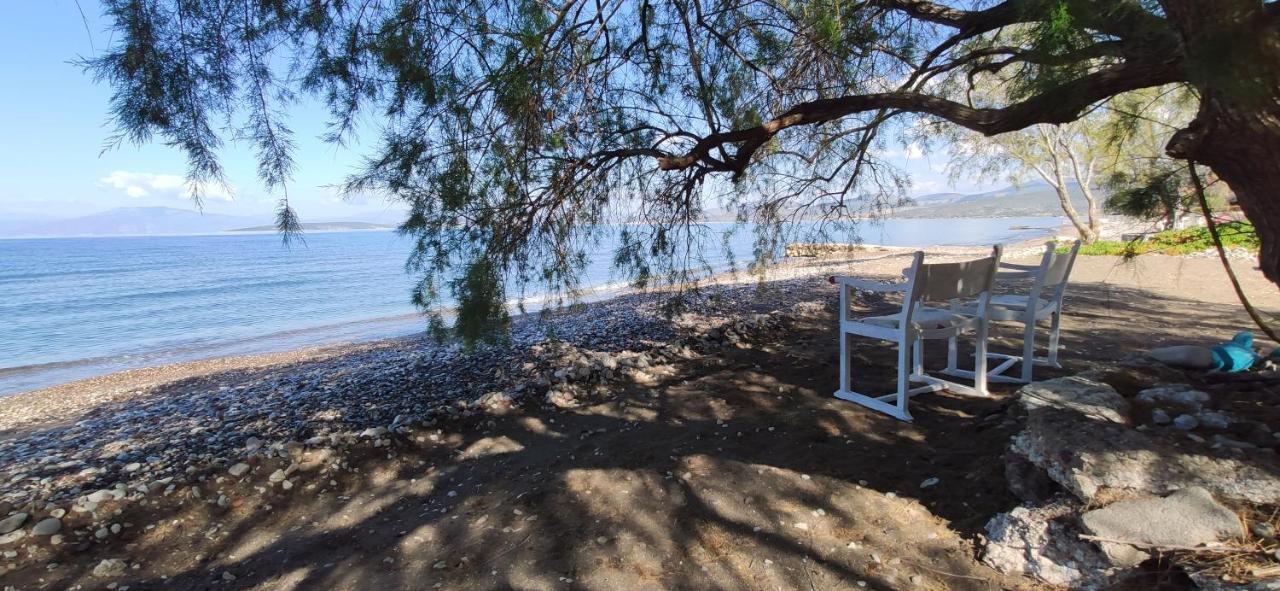 Vikos Beach Apartments Paralia Irion Esterno foto