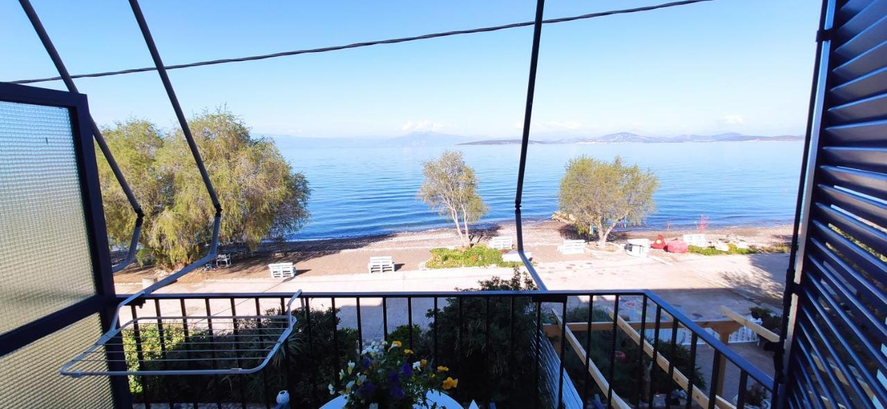 Vikos Beach Apartments Paralia Irion Esterno foto