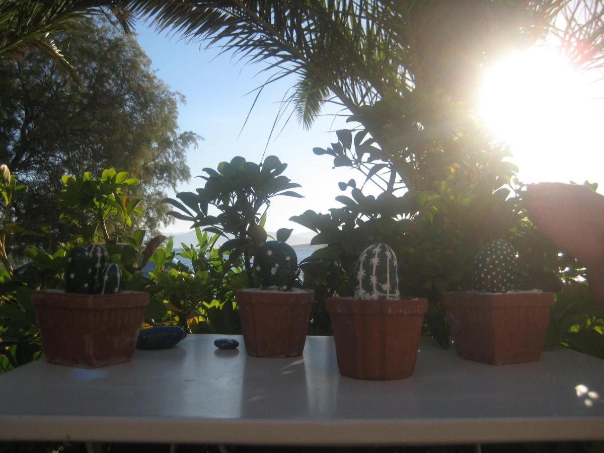 Vikos Beach Apartments Paralia Irion Esterno foto