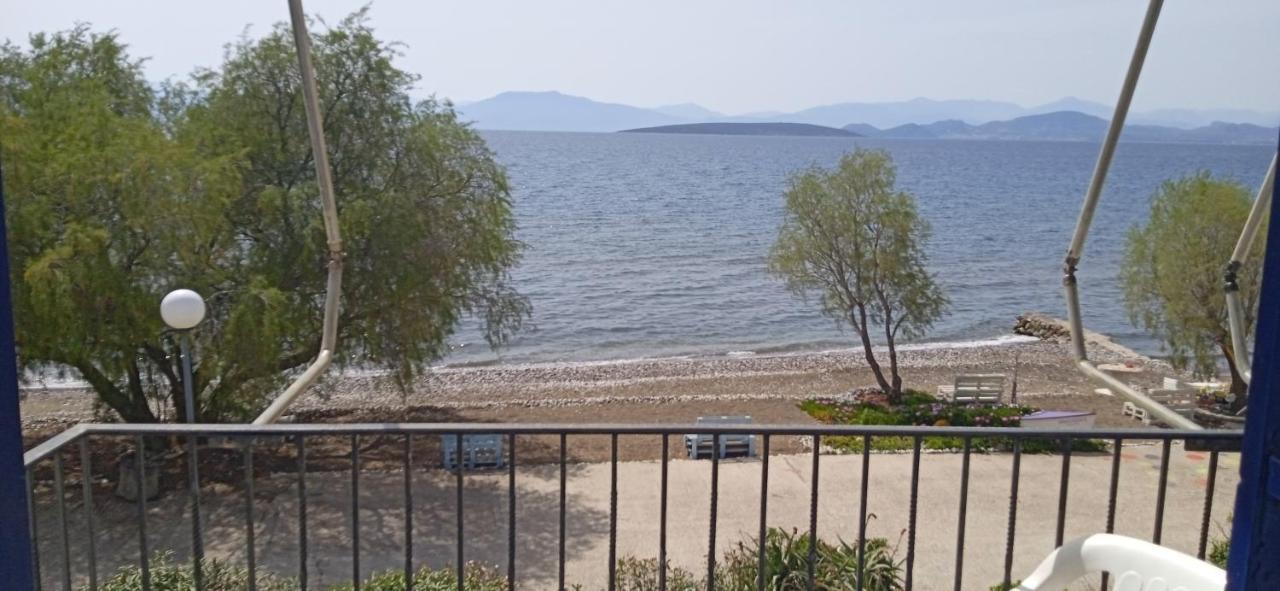 Vikos Beach Apartments Paralia Irion Esterno foto