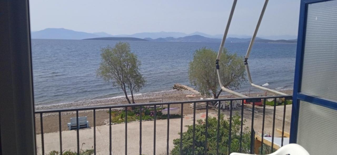 Vikos Beach Apartments Paralia Irion Esterno foto