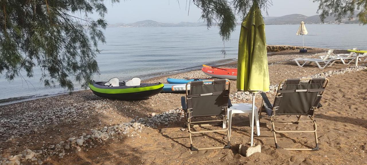 Vikos Beach Apartments Paralia Irion Esterno foto