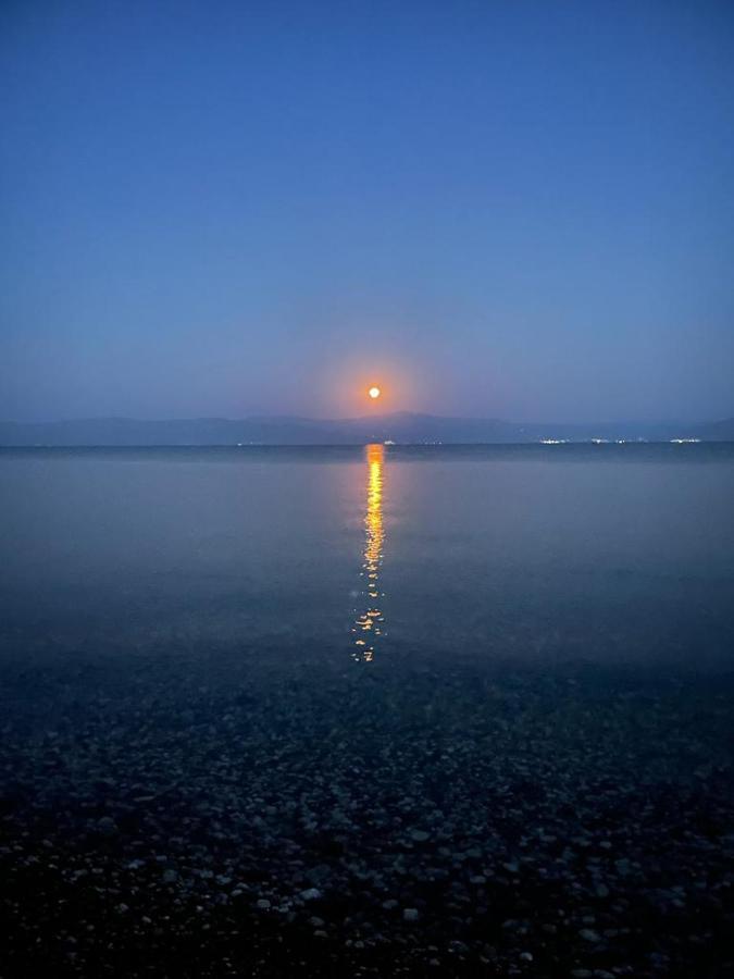 Vikos Beach Apartments Paralia Irion Esterno foto