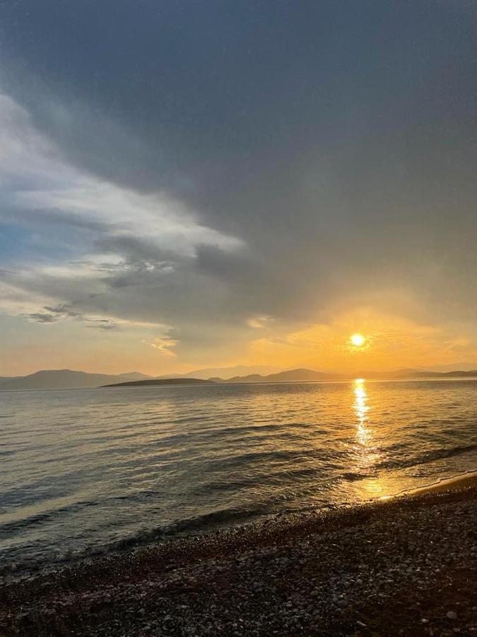 Vikos Beach Apartments Paralia Irion Esterno foto